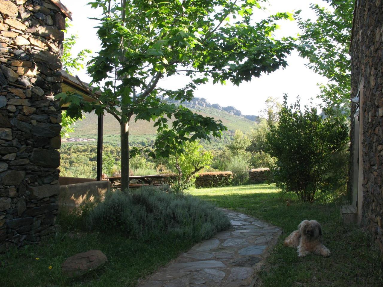 瓦伦西亚奥坎塔Quinta De Luna别墅 外观 照片